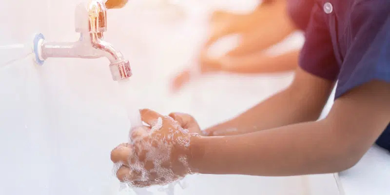 Hygiene and Safety